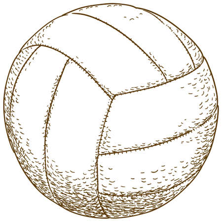 Vector antique engraving illustration of volleyball ball isolated on white backgroundのイラスト素材