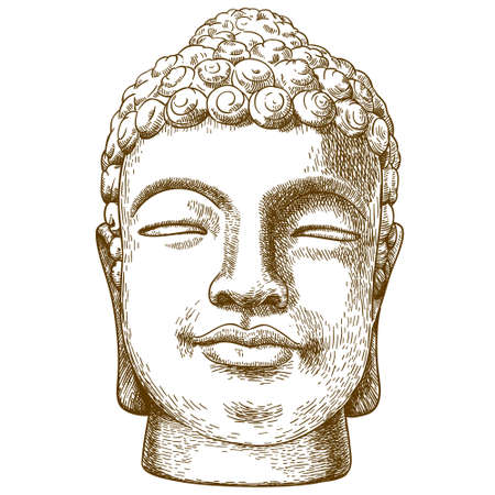 Vector antique engraving drawing illustration of stone buddha head isolated on white backgroundのイラスト素材