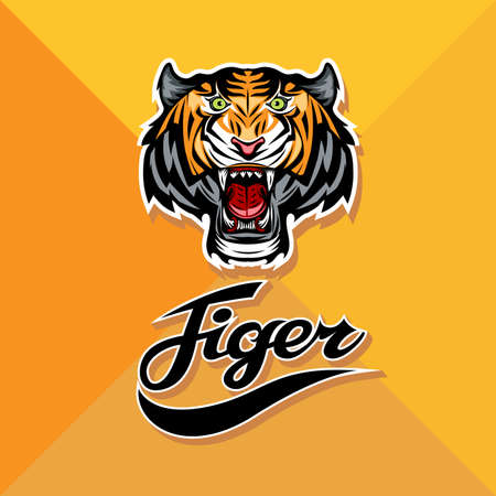 Tiger  design. Vector illustrationのイラスト素材