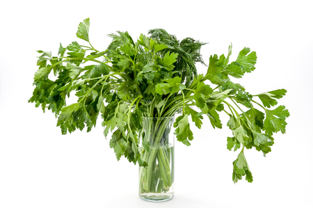 A bunch of parsley and dill in a transparent glass on a white background is isolated.の写真素材