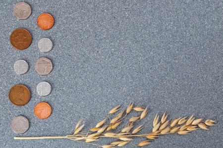Coins of the Great Britain and an ear of barley on a background of gray granite.の写真素材