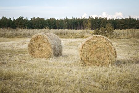Straw bales on farmland with blue cloudy sky