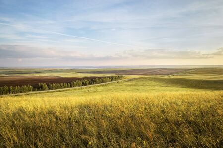 Sunset on the field with golden rye or wheat in the summer with a cloudy sky. Landscapeの写真素材