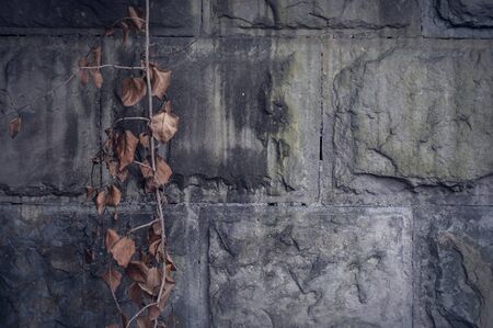 The background is a textured wall of large, plain decorative bricks and a dry woven plantの写真素材