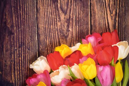 Large bright bouquet of multi-colored tulips on wooden boards of dark brown colorの写真素材