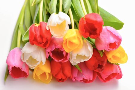 Bouquet of fresh, bright, multi-colored tulips on a white background, isolatedの写真素材