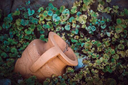 Old clay amphora in the ground against the background of green grass