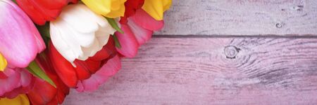 A bouquet of fresh, bright, multi-colored tulips on wooden planksの写真素材