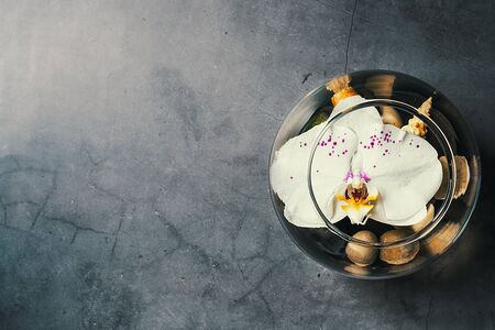 An Orchid flower floats in a circular aquarium around stonesの写真素材