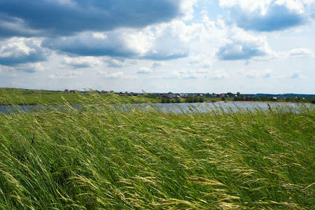 Summer natural landscape, meadow, field with tall grass, across the river village. Beautiful blue...