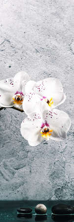Pyramid of stones and orchid flowers on a light gray backgroundの写真素材