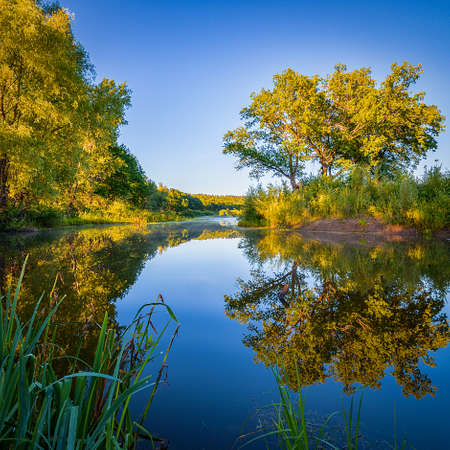 Morning on the river coast, trees reflected in the crystal clear water, on the river above the water fog.の写真素材