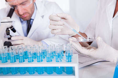 Two technologists at work in a laboratory