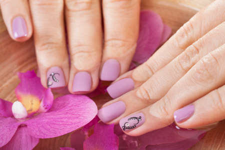 Close-up Of Female Hands Getting Manicure Treatment
