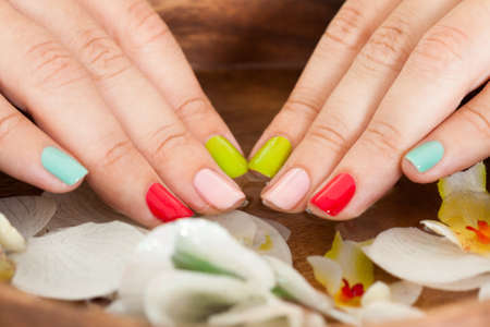 Close-up Of Female Nail With Nail Varnish And Petal