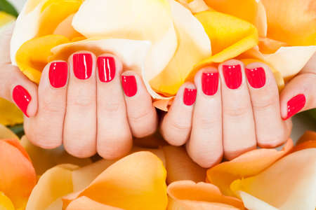 Close-up Of Manicured Nail With Nail Varnish Holding Petalsの写真素材
