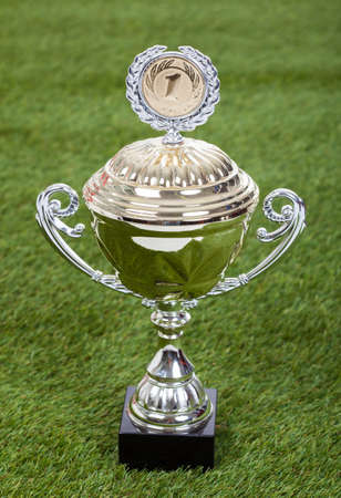 Close-up Of Shiny Championship Trophy On Pitch