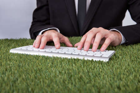 Close-up Of A Businessman Using Computer Keyboard Over Grassの写真素材