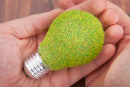 Close-up Of Person's Hand On Wooden Table Holding Bulb