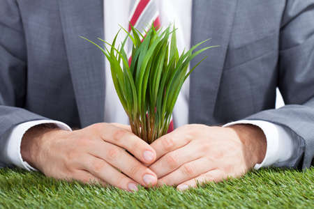 Midsection of businessman holding saplings on meadowの写真素材