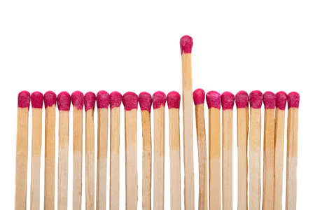 Row of match sticks with one coming up against white background