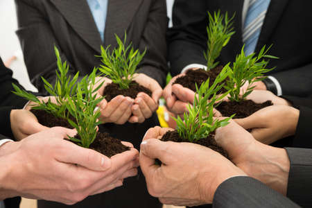 Group Of Businesspeople Hands Holding Green Plant With Soilの写真素材