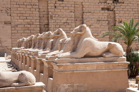 Ram-headed Sphinxes Statue In Karnak Temple, Luxor, Egyptの写真素材