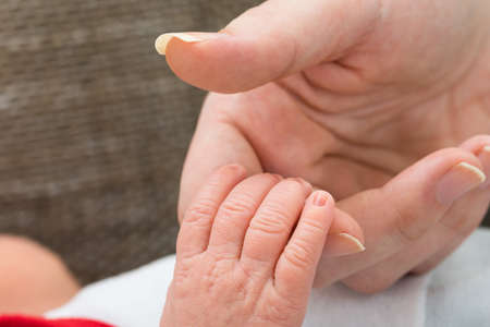 Close-up Of Photo Baby Holding Parent Fingerの写真素材