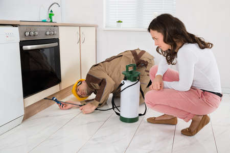 Young Woman And Worker With Pesticide Sprayer In Kitchen At Homeの写真素材