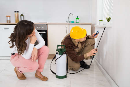 Young Woman Looking At Worker Spraying Insecticide Under The Windowsill In Kitchenの写真素材