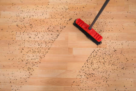High angle view of broom cleaning dirt on hardwood floor at homeの写真素材