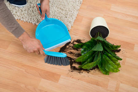 Cropped hands of man cleaning mud spilled from potted plant on floor at home