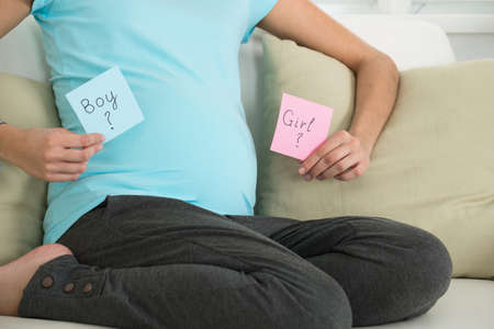 Midsection of pregnant woman holding notes with boy and girl written on it at homeの写真素材