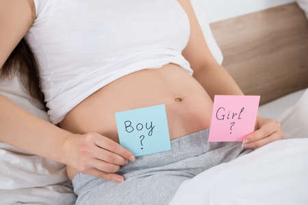 Close-up Of A Pregnant Woman Holding Notes With Boy And Girl Written On Itの写真素材