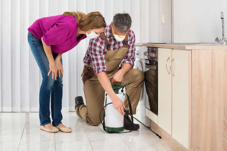 Mature Woman Looking At Male Worker Spraying Insecticide In Kitchenの写真素材