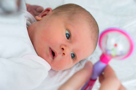 Close-up Of A Baby Looking At Rattle Hold By Her Motherの写真素材