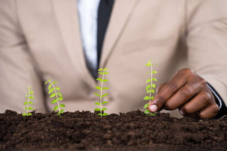 Person's Hand Planting Small Green Plant On Landの写真素材