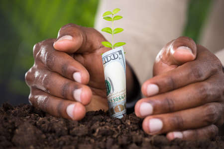 Close-up Of Person's Hand Protecting Plant Rolled With Banknoteの写真素材