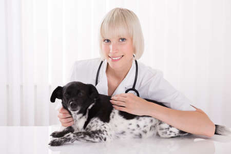 Portrait Of A Young Happy Female Vet With Dog In Hospital