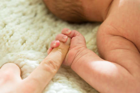 Close-up Of A New Born Baby Holding Parent's Fingerの写真素材