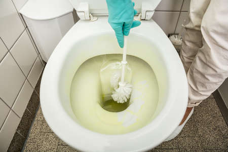 High Angle View Of A Person Hand Using Brush To Clean The Toilet Bowlの写真素材