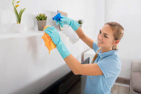 Young Woman Cleaning Furniture At Home With Spray Bottle And Cloth