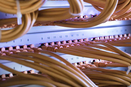 Closeup of yellow cables connected to server