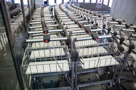 High angle view of luggage carts in row at airportの写真素材