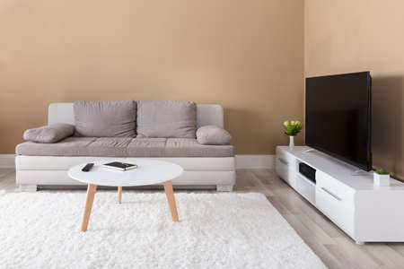 Modern Apartment With Television And Sofa In Living Roomの写真素材