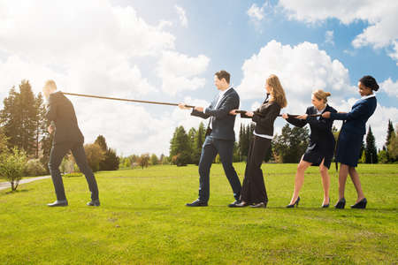 Group Of Business People Pulling A Rope In Opposite Direction At Parkの写真素材