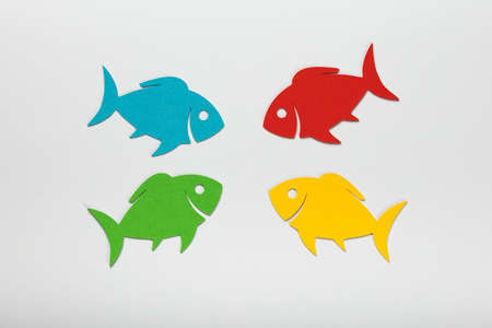 Photo Of Paper Colorful Fishes Over White Background