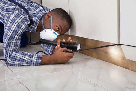 Male Worker With Mask Kneeling On Floor And Spraying Pesticide On Wooden Cabinet Using Flashlightの写真素材