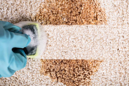 High Angle View Of A Person Wearing Gloves Cleaning Spilled Coffee On Carpet With Spongeの写真素材