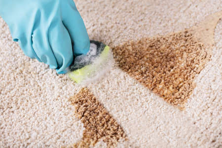 High Angle View Of A Person Wearing Gloves Cleaning Spilled Coffee On Carpet With Sponge